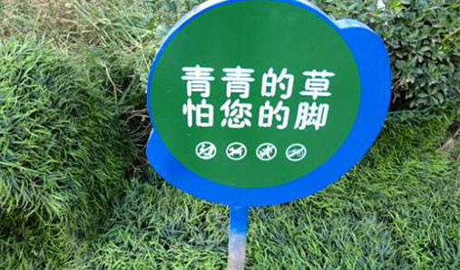 花草牌發(fā)展進(jìn)程分享——花草牌生產(chǎn)廠(chǎng)家